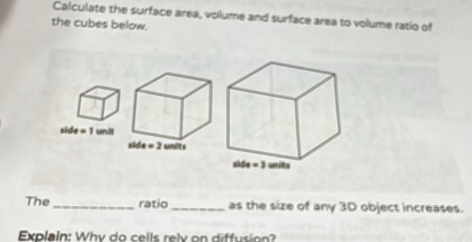 Calculate the surface area, volume and surface area to volume ratio of
the cubes below.
The _ratio_ as the size of any 3D object increases.
Explain: Why do cells relv on diffusion?