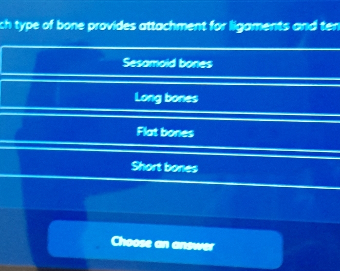 ch type of bone provides attachment for ligaments and ten
Sesamoid bones
Long bones
Flat bones
Short bones
Choose an answer