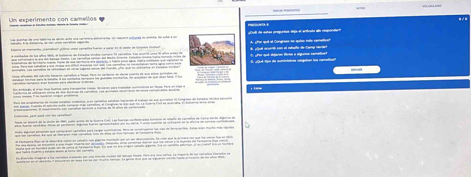 TAREAS PENDIENTES
Un experimento con camellos 6 / 8
PREGUNTA 6
Las puertas de una taberna se abren ante una carretera polvorienta. Un vaquero enfunda su pistola. Se sube a su¿Cuál de estas preguntas deja el artículo sin responder?
Espera un momento, ¿camellos? ¿Cómo unos camellos fueron a parar en el oeste de Estados Unidos?A. ¿Por qué el Congreso no quiso más camellos?
8. ¿Qué ocurrió con el rebaño de Camp Verde?
A mediados de los años 1850, el Gobierno de Estados Unidos compró 75 camellos. Esu ocurrió unos 10 años antes de C. ¿Por qué dejaron libres a algunos camellos?
que comenzara la era del Salvaje Oeste. Los camellos venían del Medio Oriente. Extados Unidos había tomado miles de
kilómetros de territorio nuevo. Parte de ese territoro era desierto, y había poca agua. Había soldados que vigilaban la
animales. Los camellos se utilizahan en otros lugares seños del mundo. ¿Por qué no utilizarlos en Estados Unidos?D. ¿Qué tipo de suministros cargaban los camellos?
zona. Para sus caballos y sus mulas era dificil moverse con sed. Los camellos no necesitaban tanta agua como esos
Unos oficiales del ejército llevaron camellos a Texas. Pero no tardaron en darse cuenta de que estos animales no
estahan hechos para la batalia. A los soldados tampoço les gustaha montarios. Se quejaban de que olían fatal. Y los
camellos tampoca eran buenos para obedecer órdenes.
Sin embargo, sí eran muy buenos para transportar cosas. Sirvieron para trasladar suministros en Texás. Para un viaje a* Extras
California se utilizaron cerca de dos docenas de camellos. Los animales recorrierón terrenos complicados durante
Pero los propietarios de mulas estaban molestos. ¡Los camellos estaban haciendo el trabajo de sus animales! El Congreso de Estados Unidos escuchó
sus puejes. Cuando el ejército pidió comprar más camellos, el Congreso le dijo que no. La Guerra Civil se acercaba. El Gobierno tenia otras
preocupaciones. El experimento con camellos terminó a menos de 10 años de comenzado
Entonces, ¿qué pasó con los camellos?
Texas se separó de la Unión en 1861, justo antes de la Guerra Civil. Las fuerzas confederadas tomaron el rebañlo de camellos de Camp Verde. Algunos de
ellos fueron vendidos. Otros se perdieron. Algunos fueron aprovechados por su carne. Y unos cuantos se utilizarón en la oficina de correos confederada
Hubo algunas personas que compraron camellos para cargar suministros. Pero se construyeron las vías de ferrocarriles. Estas eran mucho más rápidas
que los camellos. Así que se liberaron más camellos. Uno de ellos se hizo famoso: el Fantasma Rojo.
Al Fantasma Rojo se le describía como un caballo rojo gigante montado por un ser desconocido. Se cree que la primera vez que los vieron fue en 1833.
Por esa época, se encontró a una mujer muerta por atrupello. Después, otras personas dieron que los vieron y la leyenda del Fantasma Rojo creció.
Masta que un hombre pudo ver de cerca el Fantasma Rojo. Vio que no era ningún caballo gigante. Era un camello pelimrojo, ¿Y su jinete? Era un hombre
que había muerto y estaba atado al lomo del camello.
Es divertido imaginar a los camellos trotando por una movida ciudad del Salvaje Oeste. Pero era raro verlos. La mayoría de los camellos Eberados se
quedaron en el desierto. Y estuvieron en esas tierras por mucho tempo. La gente dice que se siguieron viendo hasta principios de los añlos 1900.