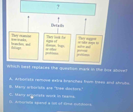 above?
A. Arborists remove extra branches from trees and shrubs.
B. Many arborists are "tree doctors."
C. Many arborists work in teams.
D. Arborists spend a lot of time outdoors.