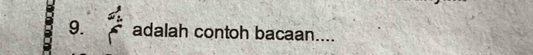 adalah contoh bacaan....