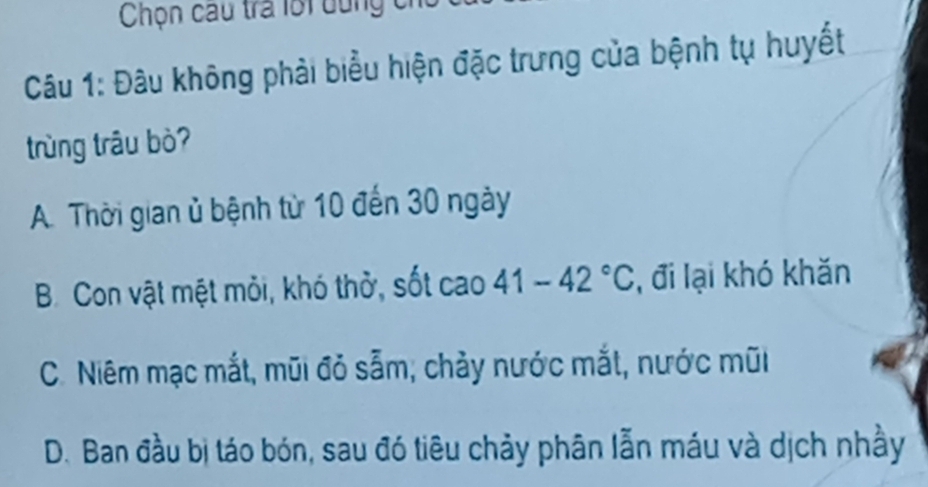 Chọn cau tra 1ố1 dung ch
Câu 1: Đâu không phải biểu hiện đặc trưng của bệnh tụ huyết
trùng trâu bò?
A. Thời gian ủ bệnh từ 10 đến 30 ngày
B. Con vật mệt mỏi, khó thở, sốt cao 41-42°C , đi lại khó khăn
C. Niêm mạc mắt, mũi đỏ sẫm, chảy nước mắt, nước mũi
D. Ban đầu bị táo bón, sau đó tiêu chảy phân lẫn máu và dịch nhầy