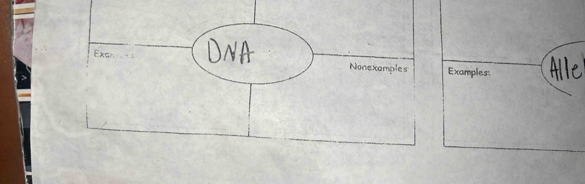 Nonexample Examples: