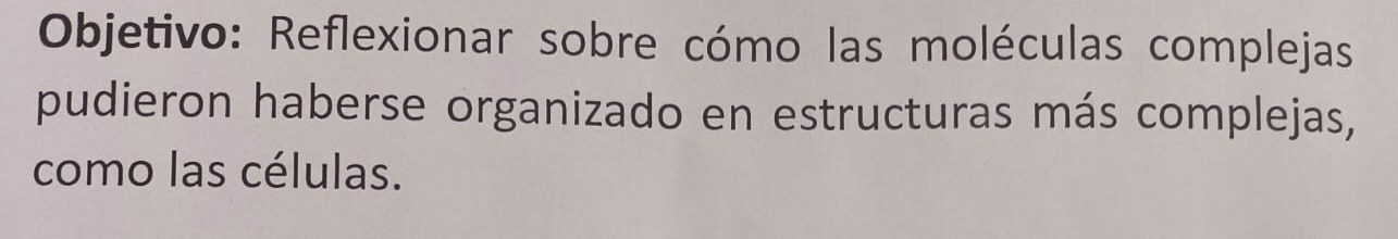 Objetivo: Reflexionar sobre cómo las moléculas complejas 
pudieron haberse organizado en estructuras más complejas, 
como las células.