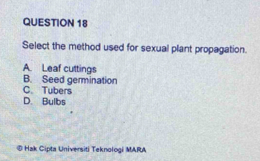 Select the method used for sexual plant propagation.
A. Leaf cuttings
B. Seed germination
C. Tubers
D. Bulbs
© Hak Cipta Universiti Teknologi MARA