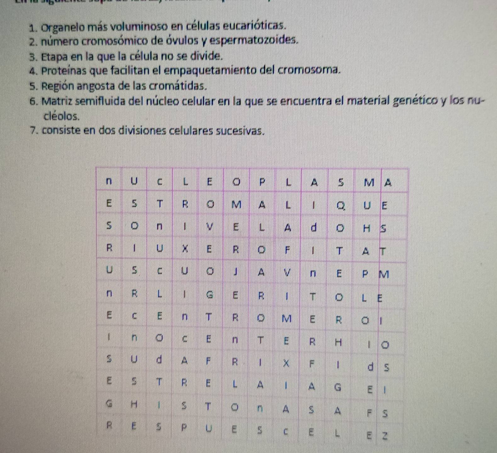 Organelo más voluminoso en células eucarióticas. 
2. número cromosómico de óvulos y espermatozoides. 
3. Etapa en la que la célula no se divide. 
4. Proteínas que facilitan el empaquetamiento del cromosoma. 
5. Región angosta de las cromátidas. 
6. Matriz semifluida del núcleo celular en la que se encuentra el material genético y los nu- 
cléolos. 
7. consiste en dos divisiones celulares sucesivas.