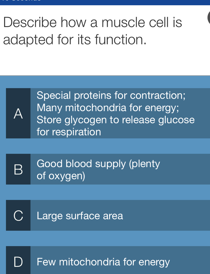 Describe how a muscle cell is
adapted for its function.
Special proteins for contraction;
Many mitochondria for energy;
A Store glycogen to release glucose
for respiration
Good blood supply (plenty
B of oxygen)
Large surface area
Few mitochondria for energy