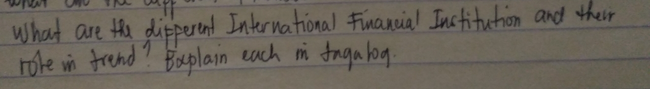 What are the difperent International Financial Inctifution and theim 
roke in frend? Baplain each i iagalog