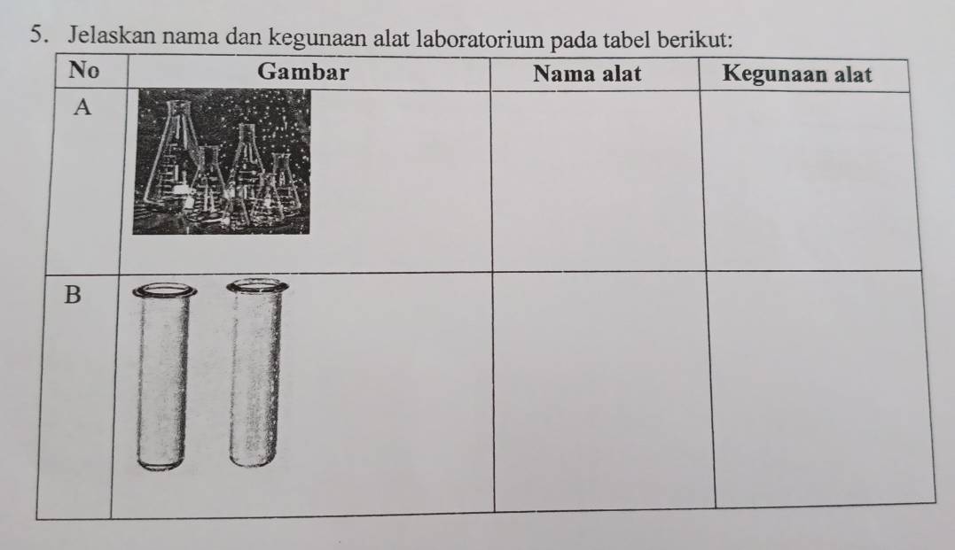 Jelaskan