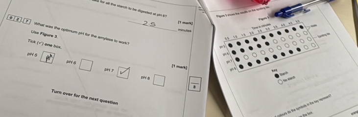 Le for all the starch to be digested at pH 67
Figure 3 stows the reeults on the spoting te 
[1 mark] 
0 2 What was the optimum pH for the amylase to work_ 
minutes 
Use Figure 3. 
Tick (√) one box. 
pH 5 4x° pH 6 □ y
[1 mark] 
pH 7 
pH 8 □ frac 8 
Turn over for the next question 
pyplours do the symbols in the key represent. 
orang
