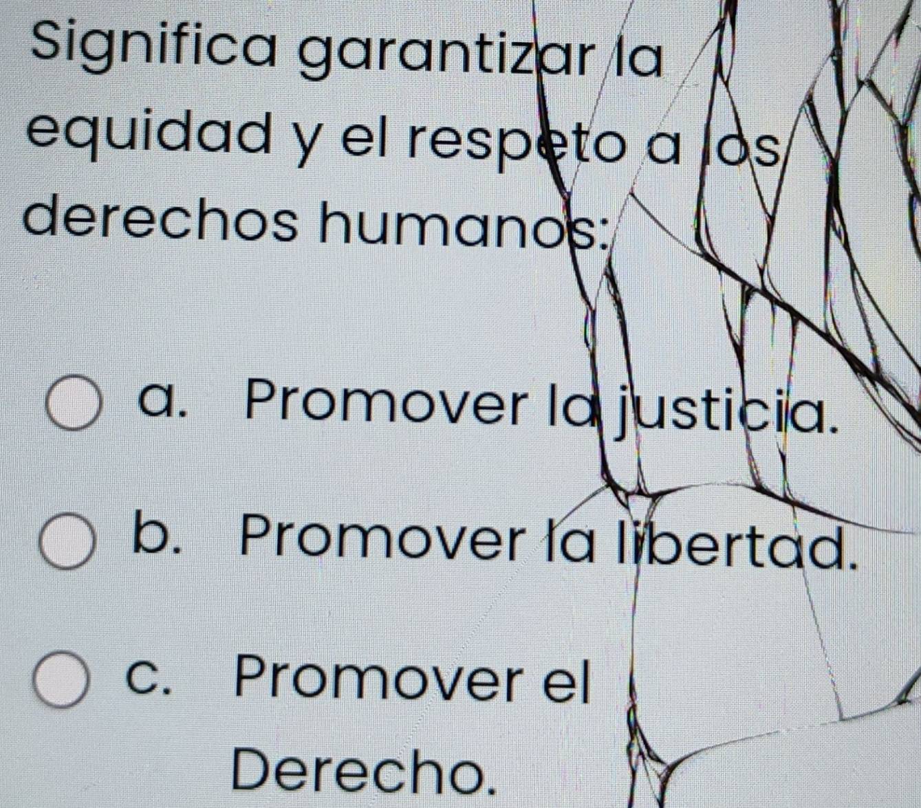 Significa garantizar la
equidad y el respeto a los
derechos humanos:
a. Promover la justicia.
b. Promover la libertad.
c. Promover el
Derecho.