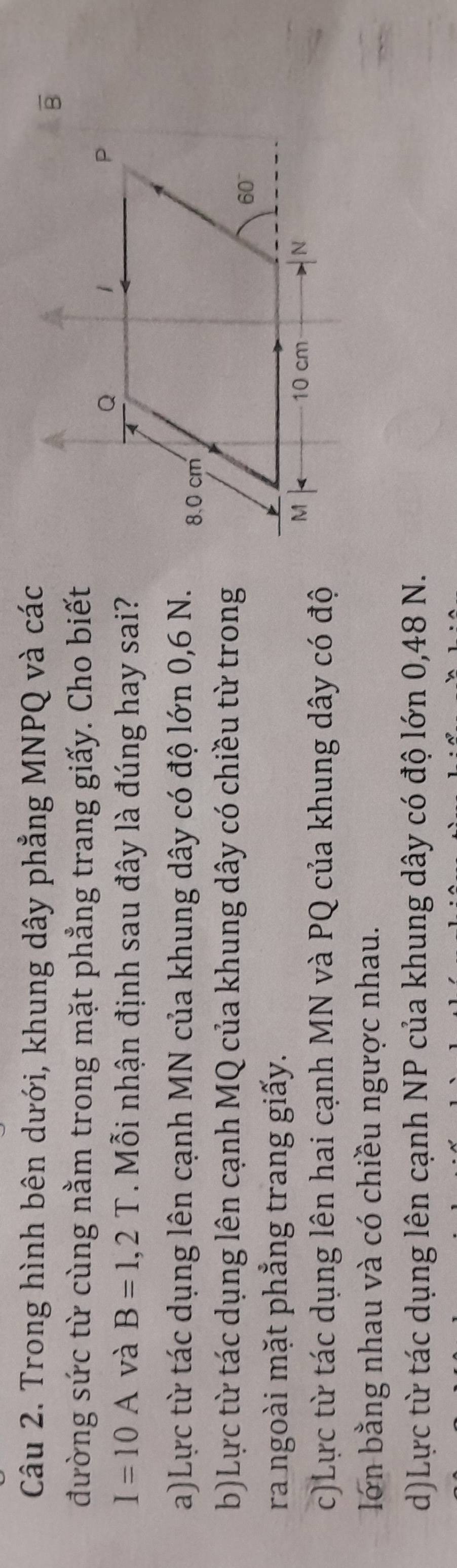 Trong hình bên dưới, khung dây phẳng MNPQ và các
đường sức từ cùng nằm trong mặt phẳng trang giấy. Cho biết
I=10A và B=1,2T. Mỗi nhận định sau đây là đúng hay sai?
a)Lực từ tác dụng lên cạnh MN của khung dây có độ lớn 0,6 N.
b)Lực từ tác dụng lên cạnh MQ của khung dây có chiều từ trong
ra ngoài mặt phẳng trang giấy.
c)Lực từ tác dụng lên hai cạnh MN và PQ của khung dây có độ
lớn bằng nhau và có chiều ngược nhau.
d)Lực từ tác dụng lên cạnh NP của khung dây có độ lớn 0,48 N.