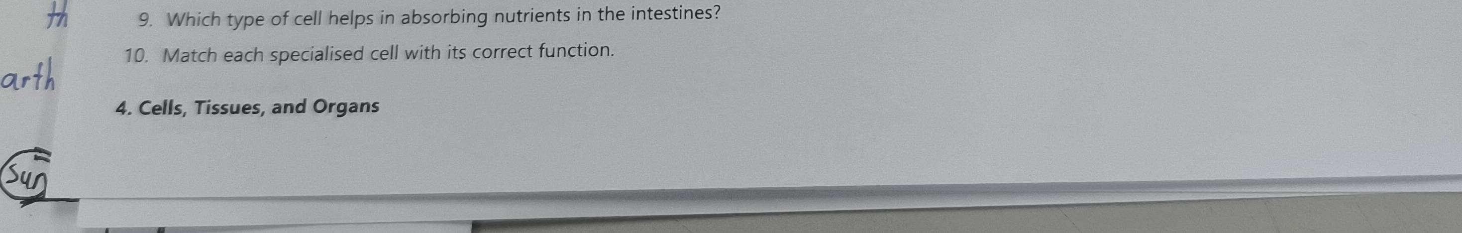 Which type of cell helps in absorbing nutrients in the intestines? 
10. Match each specialised cell with its correct function. 
4. Cells, Tissues, and Organs