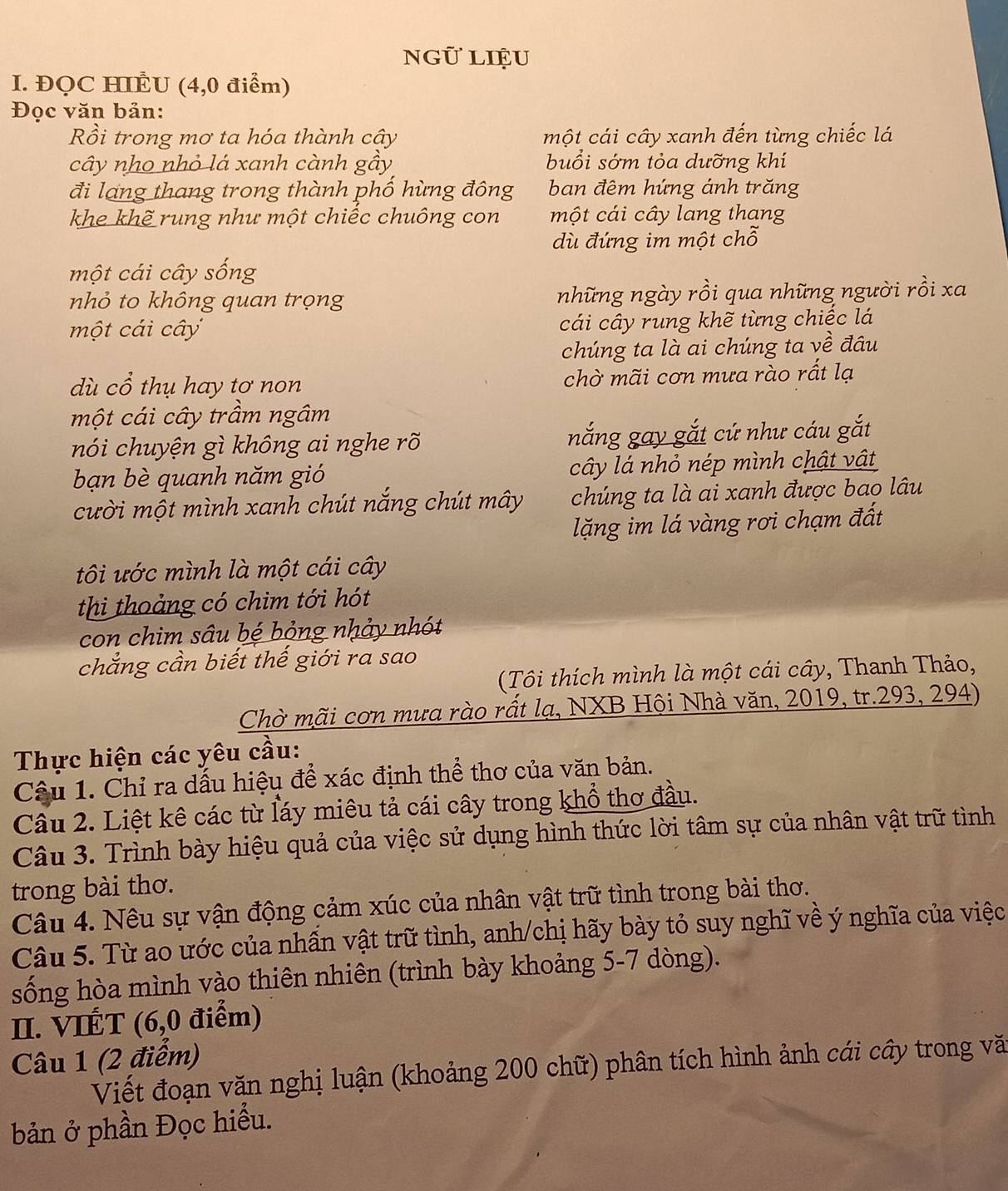 ngữ liệu
I. ĐQC HILU (4,0 điểm)
Đọc văn bản:
Rồi trong mơ ta hóa thành cậy một cái cây xanh đến từng chiếc lá
cây nho nhỏ lá xanh cành gầy buổi sớm tỏa dưỡng khí
đi lạng thang trong thành phố hừng đông ban đêm hứng ánh trăng
khe khẽ rung như một chiếc chuông con một cái cây lang thang
dù đứng im một chỗ
một cái cây sống
nhỏ to không quan trọng những ngày rồi qua những người rồi xa
một cái cây cái cây rung khẽ từng chiếc lá
chúng ta là ai chúng ta về đâu
dù cổ thụ hay tơ non chờ mãi cơn mưa rào rất lạ
một cái cây trầm ngâm
nói chuyện gì không ai nghe rõ nắng gay gắt cứ như cáu gắt
bạn bè quanh năm gió cây lá nhỏ nép mình chật vật
cười một mình xanh chút nắng chút mây chúng ta là ai xanh được bao lâu
lặng im lá vàng rơi chạm đất
tôi ước mình là một cái cây
thi thoảng có chim tới hót
con chim sâu bé bỏng nhảy nhót
chẳng cần biết thế giới ra sao
(Tôi thích mình là một cái cây, Thanh Thảo,
Chờ mãi cơn mưa rào rất lạ, NXB Hội Nhà văn, 2019, tr.293, 294)
Thực hiện các yêu cầu:
Câu 1. Chỉ ra dấu hiệu để xác định thể thơ của văn bản.
Câu 2. Liệt kê các từ láy miêu tả cái cây trong khổ thơ đầu.
Câu 3. Trình bày hiệu quả của việc sử dụng hình thức lời tâm sự của nhân vật trữ tình
trong bài thơ.
Câu 4. Nêu sự vận động cảm xúc của nhân vật trữ tình trong bài thơ.
Câu 5. Từ ao ước của nhấn vật trữ tình, anh/chị hãy bày tỏ suy nghĩ về ý nghĩa của việc
sống hòa mình vào thiên nhiên (trình bày khoảng 5-7 dòng).
II. VIÉT (6,0 điểm)
Câu 1 (2 điểm)
Viết đoạn văn nghị luận (khoảng 200 chữ) phân tích hình ảnh cái cây trong vă
bản ở phần Đọc hiểu.