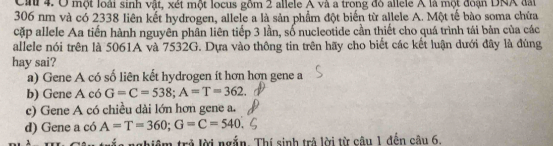 Ca 4. Ở một loài sinh vật, xét một locus gồm 2 allele A và a trong đỏ allele A là một đoạn DNA đài
306 nm và có 2338 liên kết hydrogen, allele a là sản phẩm đột biến từ allele A. Một tế bào soma chứa
cặp allele Aa tiến hành nguyên phân liên tiếp 3 lần, số nucleotide cần thiết cho quá trình tái bản của các
allele nói trên là 5061A và 7532G. Dựa vào thông tin trên hãy cho biết các kết luận dưới đây là đúng
hay sai?
a) Gene A có số liên kết hydrogen ít hơn hơn gene a
b) Gene A có G=C=538; A=T=362.
c) Gene A có chiều dài lớn hơn gene a.
d) Gene a có A=T=360; G=C=540
thiêm trả lời ngắn. Thí sinh trả lời từ câu 1 đến câu 6.