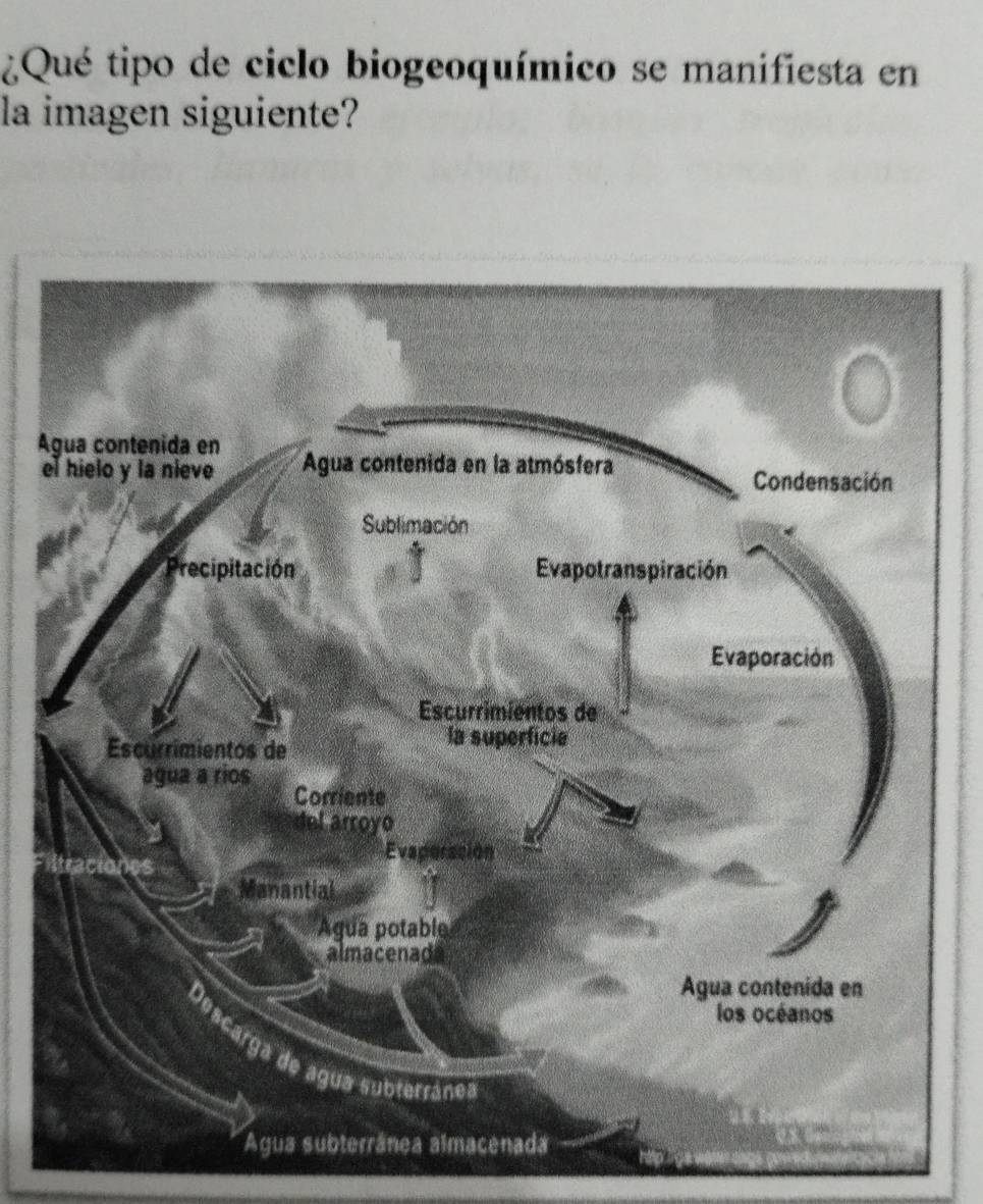 ¿Qué tipo de ciclo biogeoquímico se manifiesta en 
la imagen siguiente? 
Á 
e