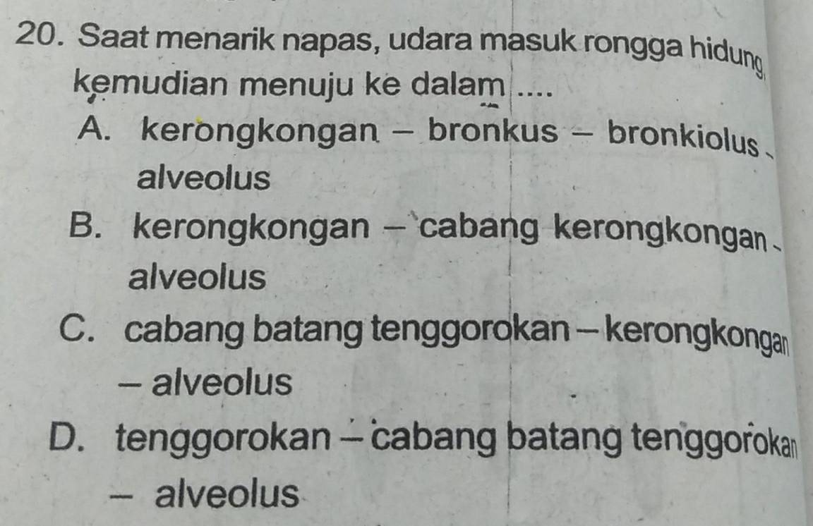 Saat menarik napas, udara masuk rongga hidung
kemudian menuju ke dalam ....
A. kerongkongan - bronkus - bronkiolus
alveolus
B. kerongkongan — cabang kerongkongan
alveolus
C. cabang batang tenggorokan — kerongkonga
- alveolus
D. tenggorokan - cabang batang tenggoroka
- alveolus