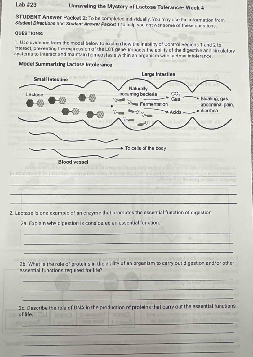 Solved: Lab #23 Unraveling the Mystery of Lactose Tolerance- Week 4 ...