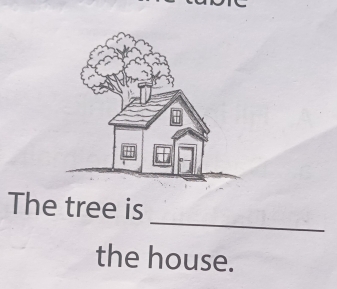 The tree is 
the house.