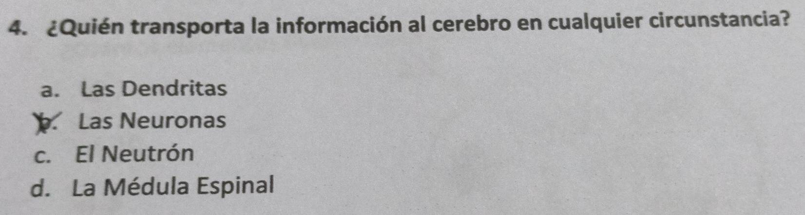 ¿Quién transporta la información al cerebro en cualquier circunstancia?
a. Las Dendritas. Las Neuronas
c. El Neutrón
d. La Médula Espinal