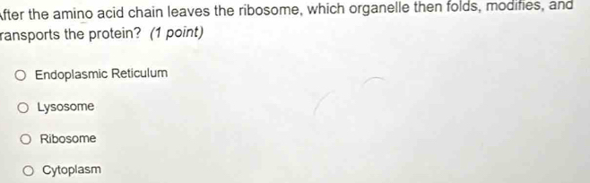 After the amino acid chain leaves the ribosome, which organelle then folds, modifies, and
ransports the protein? (1 point)
Endoplasmic Reticulum
Lysosome
Ribosome
Cytoplasm