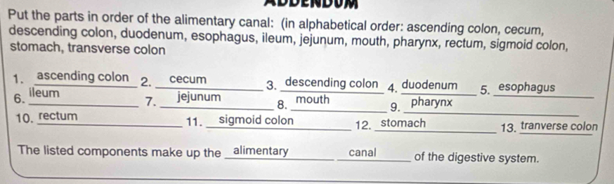 Put the parts in order of the alimentary canal: (in alphabetical order: ascending colon, cecum, 
descending colon, duodenum, esophagus, ileum, jejunum, mouth, pharynx, rectum, sigmoid colon, 
stomach, transverse colon 
1. ascending colon 2. cecum 3. descending colon 4. duodenum 5. esophagus 
6. ileum 
_ 
_ 
_7. jejunum 
_8. mouth 9. pharynx 
10. rectum 11. sigmoid colon 12. stomach_ 13. tranverse colon 
The listed components make up the _alimentary canal of the digestive system. 
_