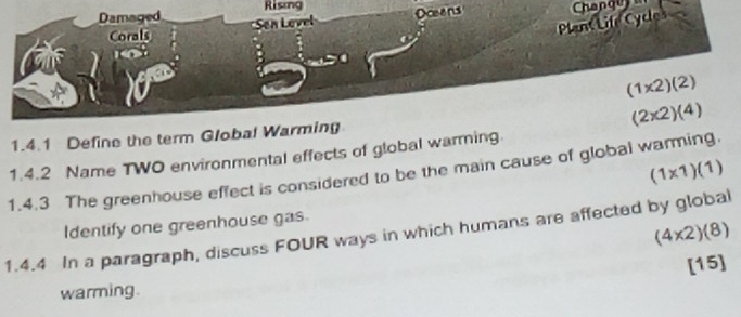 Rising Chang 
Damaged Sen Lovel 
Oceens 
Corals 
Plant Life Cycles 
a
(1* 2)(2)
(2* 2)(4)
1.4.1 Define the term Global Warming 
1.4.2 Name TWO environmental effects of global warmning. 
1.4.3 The greenhouse effect is considered to be the main cause of global warming. (1* 1)(1)
Identify one greenhouse gas.
(4* 2)(8)
1.4.4 In a paragraph, discuss FOUR ways in which humans are affected by global 
[15] 
warming.