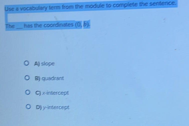 Use a vocabulary term from the module to complete the sentence.
The_ has the coordinates (0,b).
A) slope
B) quadrant
C) x-intercept
D) y-intercept