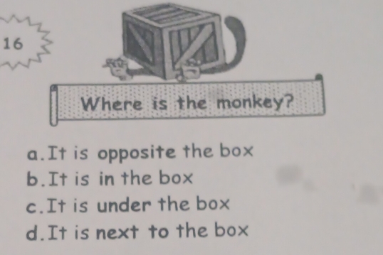 Where is the monkey?
a.It is opposite the box
b.It is in the box
c.It is under the box
d.It is next to the box