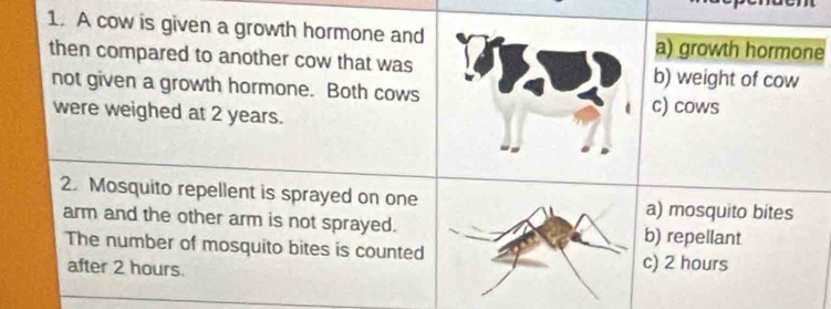 A cow is given a growth hormone and a) growth hormone
then compared to another cow that was b) weight of cow
not given a growth hormone. Both cows
were weighed at 2 years.
c) cows
2. Mosquito repellent is sprayed on one a) mosquito bites
arm and the other arm is not sprayed. b) repellant
The number of mosquito bites is counted
after 2 hours. c) 2 hours