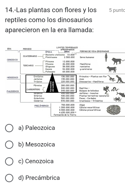 14.-Las plantas con flores y los 5 punt
reptiles como los dinosaurios
aparecieron en la era llamada:
a) Paleozoica
b) Mesozoica
c) Cenozoica
d) Precámbrica