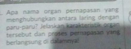 Apa nama organ pernapasan yang 
menghübungkan antara laring dengan 
paru-paru? Jelaskan karakteristik orgán 
tersebut dan proses pernapasan yang 
berlangsung di dalamnyal