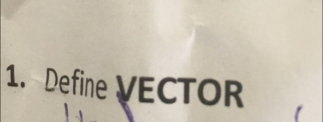 Define VECTOR