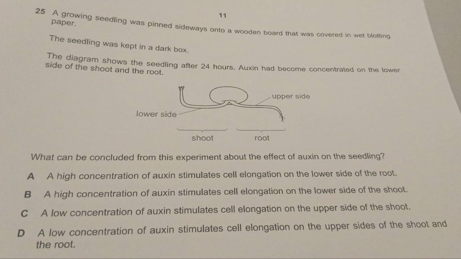 paper.
25 A growing seedling was pinned sideways onto a wooden board that was covered in wet blotting
The seedling was kept in a dark box.
The diagram shows the seedling after 24 hours. Auxin had become concentrated on the lower
side of the shoot and the root.
What can be concluded from this experiment about the effect of auxin on the seedling?
A A high concentration of auxin stimulates cell elongation on the lower side of the root.
B A high concentration of auxin stimulates cell elongation on the lower side of the shoot.
C A low concentration of auxin stimulates cell elongation on the upper side of the shoot.
D A low concentration of auxin stimulates cell elongation on the upper sides of the shoot and
the root.