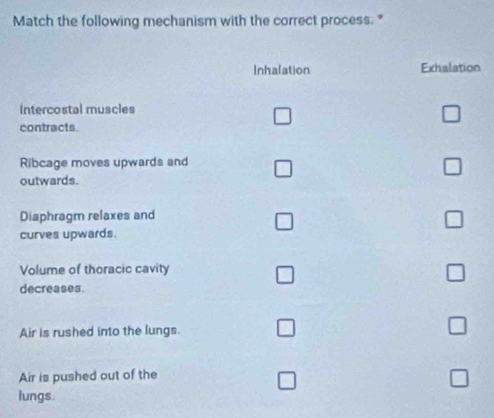 Match the following mechanism with the correct process. *
Inhaation Exhalation
Intercostal muscles
contracts.
Ribcage moves upwards and
outwards.
Diaphragm relaxes and
curves upwards.
Volume of thoracic cavity
decreases.
Air is rushed into the lungs.
Air is pushed out of the
lungs.