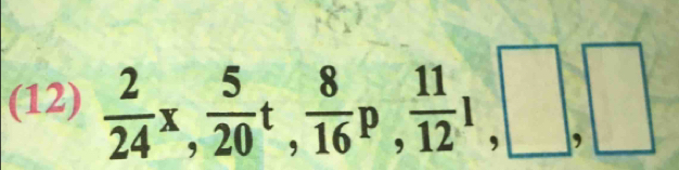 (12)  2/24 x,  5/20 t,  8/16 p,  11/12 1, □ , □