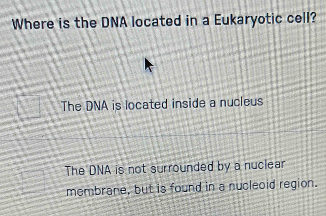 Where is the DNA located in a Eukaryotic cell?
The DNA is located inside a nucleus
The DNA is not surrounded by a nuclear
membrane, but is found in a nucleoid region.