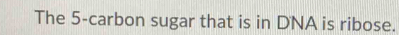 The 5 -carbon sugar that is in DNA is ribose.