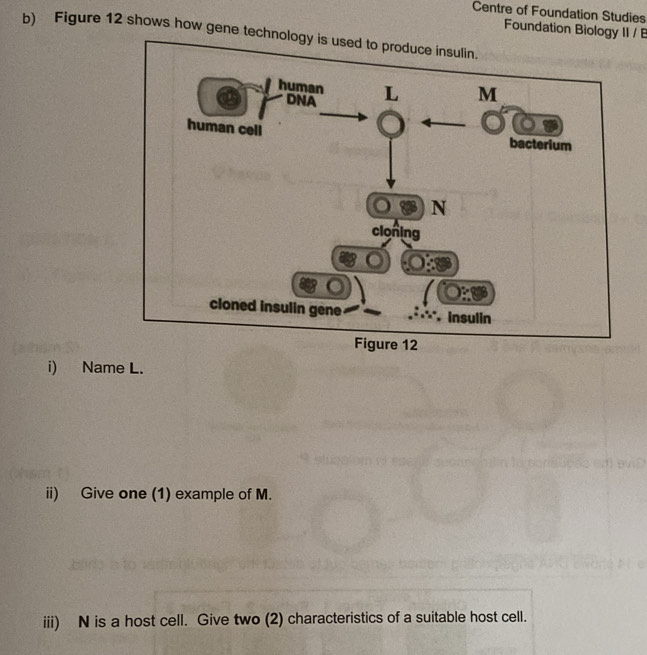 Centre of Foundation Studies 
Foundation Biology II / 
b) Figure 12 shows how gene technolo 
i) Name L. 
ii) Give one (1) example of M. 
iii) N is a host cell. Give two (2) characteristics of a suitable host cell.