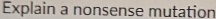 Explain a nonsense mutation