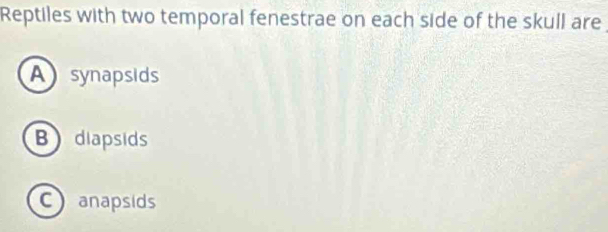 Reptiles with two temporal fenestrae on each side of the skull are
Asynapsids
B diapsids
Canapsids