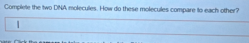 Complete the two DNA molecules. How do these molecules compare to each other? 
1