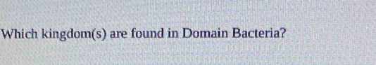 Which kingdom(s) are found in Domain Bacteria?