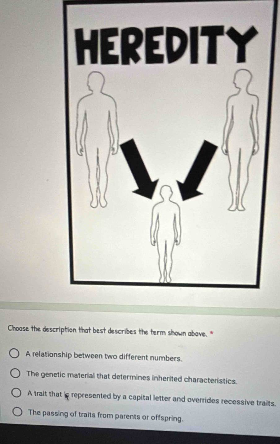 Choose the description that best describes the term shown above. *
A relationship between two different numbers.
The genetic material that determines inherited characteristics
A trait that is represented by a capital letter and overrides recessive traits.
The passing of traits from parents or offspring.