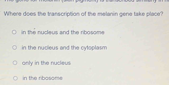 Where does the transcription of the melanin gene take place?
in the nucleus and the ribosome
in the nucleus and the cytoplasm
only in the nucleus
in the ribosome