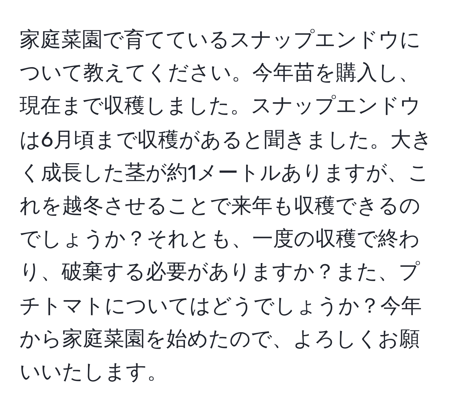 家庭菜園で育てているスナップエンドウについて教えてください。今年苗を購入し、現在まで収穫しました。スナップエンドウは6月頃まで収穫があると聞きました。大きく成長した茎が約1メートルありますが、これを越冬させることで来年も収穫できるのでしょうか？それとも、一度の収穫で終わり、破棄する必要がありますか？また、プチトマトについてはどうでしょうか？今年から家庭菜園を始めたので、よろしくお願いいたします。