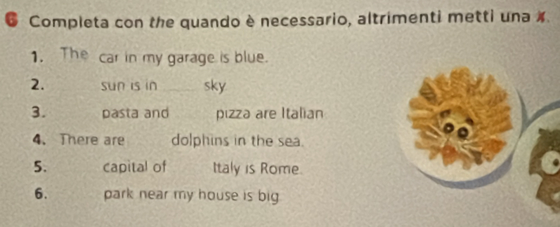 Completa con the quando è necessario, altrimenti metti una % 
1. The car in my garage is blue. 
2. sun is in _sky 
3. pasta and pizza are Italian 
4. There are dolphins in the sea. 
5. capital of Italy is Rome. 
6. park near my house is big