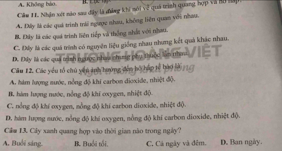 A. Không bào. B. Lục lập.
Câu 11. Nhận xét nào sau dây là đúng khi nói về quá trình quang hợp và hồ háp:
A. Đây là các quá trình trái ngược nhau, không liên quan với nhau.
B. Đây là các quá trình liên tiếp và thống nhất với nhau.
C. Đây là các quá trình có nguyên liệu giống nhau nhưng kết quả khác nhau.
D. Đây là các quá trình ngược nhau nhưng phụ thuộc lẫn nhau.
Câu 12. Các yếu tố chủ yếu ảnh hưởng đến hô hấp tế bào là
A. hàm lượng nước, nồng độ khí carbon dioxide, nhiệt độ.
B. hàm lượng nước, nồng độ khí oxygen, nhiệt độ.
C. nổng độ khí oxygen, nồng độ khí carbon dioxide, nhiệt độ.
D. hàm lượng nước, nồng độ khí oxygen, nồng độ khí carbon dioxide, nhiệt độ.
Câu 13. Cây xanh quang hợp vào thời gian nào trong ngày?
A. Buổi sáng. B. Buổi tối. C. Cả ngày và đêm. D. Ban ngày.