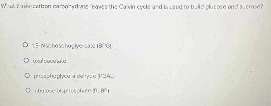 What three-carbon carbohydrate leaves the Calvin cycle and is used to build glucose and sucrose?
1,3 -bisphosphoglyercate (BPG)
oxaloacetate
phosphoglyceraldehyde (PGAL)
ribulose bisphosphate (RuBP)