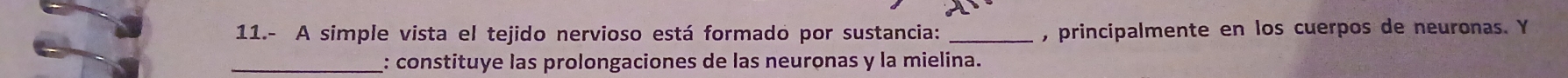 11.- A simple vista el tejido nervioso está formado por sustancia: _, principalmente en los cuerpos de neuronas. Y 
: constituye las prolongaciones de las neuronas y la mielina.